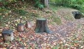 Tour Wandern Waldkirch - Waldkirch - grande boucle des ruines du Schwanzenberg - Photo 7