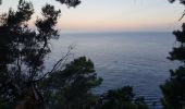 Trail Walking Sóller - détour par le sentier d'escalade Mallorca des Baléares - Photo 4