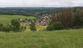 Tour Wandern Beure - fort planoise, Valmy, fontain - Photo 5