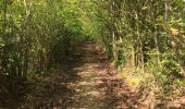 Tour Wandern Spa - Promenade d'Orléans - Photo 1