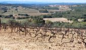 Percorso Marcia Villespassans - Assignan : garrigue et causses  - Photo 6