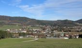 Tour Zu Fuß Gemeinde Hainfeld - Hainfeld Kirche - Gasthaus Haxenmühle - Photo 8