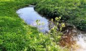 Percorso A piedi Berkatal - Rundweg Großer Marstein und Hielöcher - Photo 4