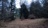 Trail Walking Esneux - randounette paec du Mary - Photo 1