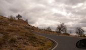Trail On foot Patones - Ruta 2: Vuelta al Cabezo - Photo 4