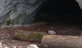 Tocht Stappen Giron - Giron Grottes des Abrans - Photo 2
