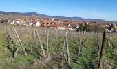 Tour Wandern Mittelweier - Les perles du vignoble  : Mittelwihr - Beblenheim - Zellenberg - Hunawihr - Riquewihr. - Photo 5