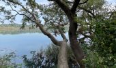 Tocht Stappen Banyoles - Lac de Banyoles  - Photo 3