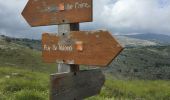 Tour Wandern Vence - Naouri avec problème de réception  - Photo 1