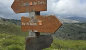 Excursión Senderismo Vence - Naouri avec problème de réception  - Photo 1