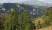 Trail Walking Beuil - le challas - Photo 2
