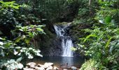 Tour Wandern Sainte-Rose - Cascade Naca - Photo 4