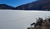 Trail Walking Le Saix - Lac de Peyssier - Photo 4