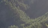Randonnée Marche Estoublon - estoublon sentier des oliviers gorges trevans 21k 950m  - Photo 5