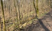 Trail Walking Kelmis - Kelmis/La Calamine 10 Km - Photo 5