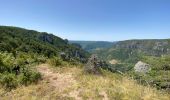 Trail Walking Saint-Pierre-des-Tripiers - Cassagnes crête vallée Jonte et Tarn 12,2 km - Photo 12