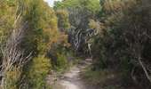 Trail Walking Palasca - Désert des Agriate - Photo 13