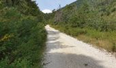 Tocht Mountainbike Thorame-Basse - Col de Seoune Lambruisse - Photo 14