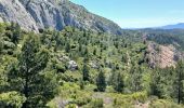 Trail Walking Saint-Antonin-sur-Bayon - 13-st_antonin_bayon_8km330m - Photo 3