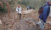 Excursión Senderismo Fontainebleau - la mare aux fées 14 avril 20236 - Photo 15