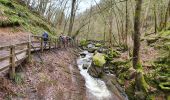 Trail Walking Aywaille - Ninglinspo en joelette - Photo 3