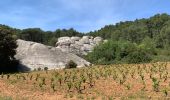 Tour Wandern Évenos - Le gros cerveau 10 mai 2019 - Photo 1