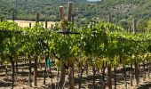 Trail Horseback riding Buoux - Provence 2025 J2 - Photo 9