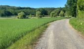 Excursión Bici de montaña Ormoy-le-Davien - Boucle Ormoy le Davien - Mareuil sur Ourcq -  Ormoy le Davien - Photo 3