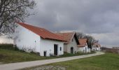 Excursión A pie Gemeinde Höflein - Via Vinum (Rundwanderweg Höflein) - Photo 6