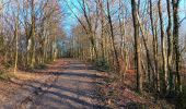 Percorso Marcia Liegi - angleur . bois saint Jacques / bois Saint Laurent. angleur - courte - Photo 5