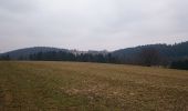 Trail On foot Alfdorf - Nordic-Walkingroute Nr. 6 Alfdorf - Photo 2