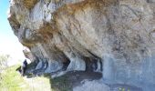 Trail Walking Bouvante - Serre Montué par la grotte du Berger, la pas de l'Infernet en circuit partiel - Photo 16