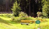 Tour Zu Fuß Gemeinde Aspangberg-St.Peter - Mönichkirchener Schwaig - Heidstübl - Photo 1