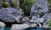 Tocht Stappen Estoublon - Les Gorges de Trévans Via Estoublon - Photo 16