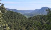 Randonnée Marche Fozières - Fozières col de la Melanque - Photo 8