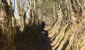 Tour Wandern Olne - Les grès de Vaux: Olne Vaux-sous-Olne Froidbermont - Photo 6