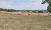 Tour Elektrofahrrad Ronse - Russeignies - Photo 3