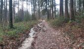 Trail Walking Ferrières - dans les pas de Saint Roch - Ferriere - Photo 13