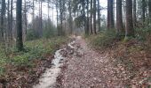 Randonnée Marche Ferrières - dans les pas de Saint Roch - Ferriere - Photo 13