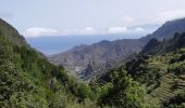 Randonnée Marche Hermigua - Canaries - La Gomera - El Cedro - jour 7 - Photo 2