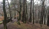 Trail On foot Nandrin - Les rochettes Bois des dames - Photo 11