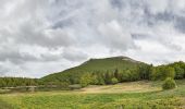 Tocht Te voet Ventasso - Nismozza - Bivacco Santa Maria Maddalena - Lago Calamone - Ventasso Laghi - Photo 1