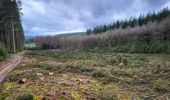 Tour Wandern Saint-Hubert - Arville 230323 - Photo 3