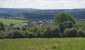 Randonnée Marche Anhée - rando haut le wastia - Photo 4