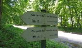 Trail Walking Saint-Martin-de-Boscherville - 20210610-St Martin de Boscherville - Photo 10