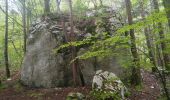 Percorso Marcia Fontaine - Le Moucherotte par le Vallon des Forges et le chemin de crête - Photo 14