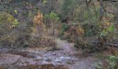 Trail Walking Waimes - RS 2024_10 Botrange  - Photo 18