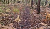 Tocht Stappen Vendôme - Promenade dans la forêt de Vendôme  - Photo 11