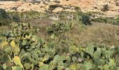 Tour Wandern La Croix-Valmer - Cap Lardier Cap Taillat-24-01-224 - Photo 9