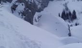Randonnée Ski de randonnée Villard-de-Lans - Ric du Cornafion et Rocher de l'ours - Photo 3